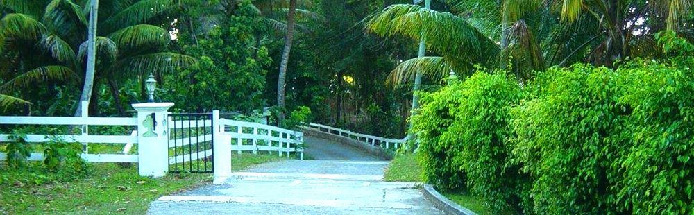 Icis Villas Brewers Bay Luaran gambar
