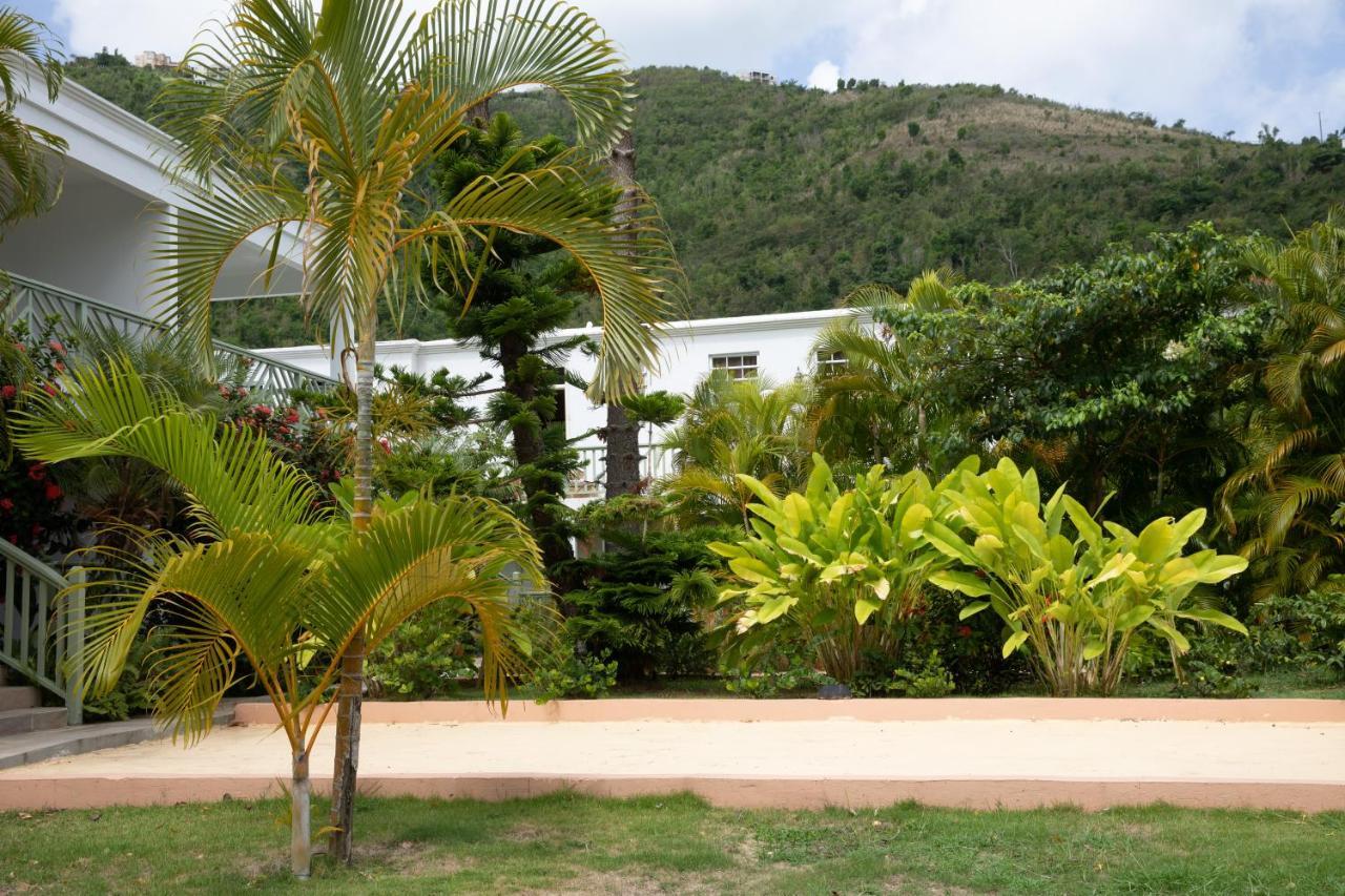 Icis Villas Brewers Bay Luaran gambar
