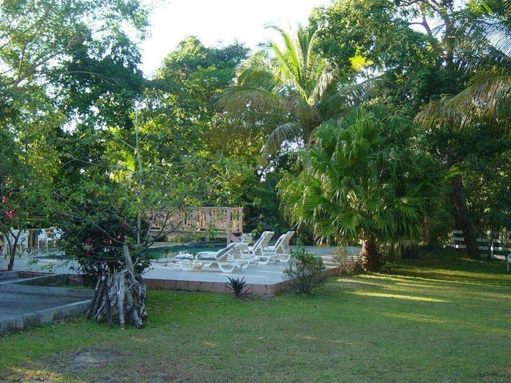 Icis Villas Brewers Bay Luaran gambar